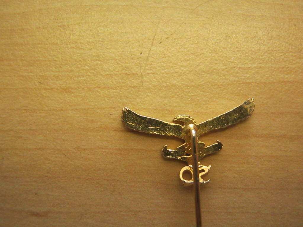 SAAF 50th anniversary pin badge.